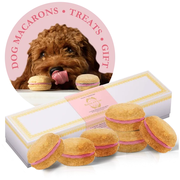 Dog Macarons (Box of 6)